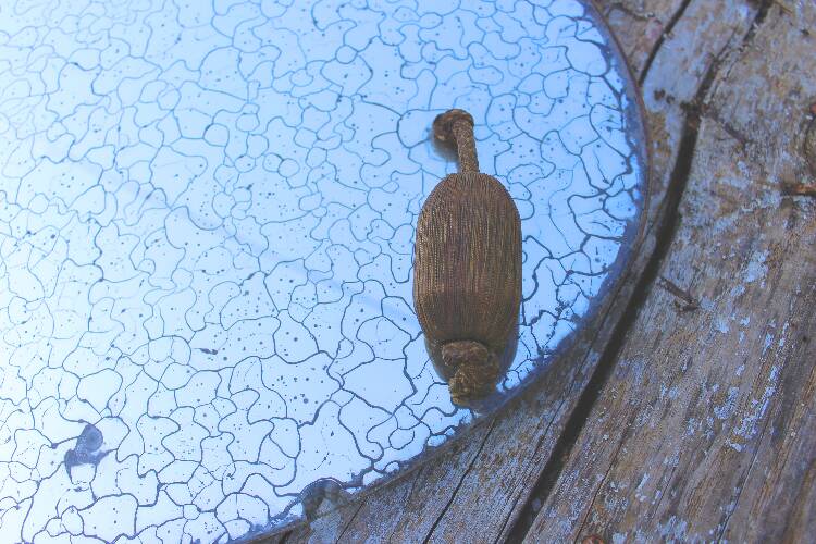 Mercury barber mirror