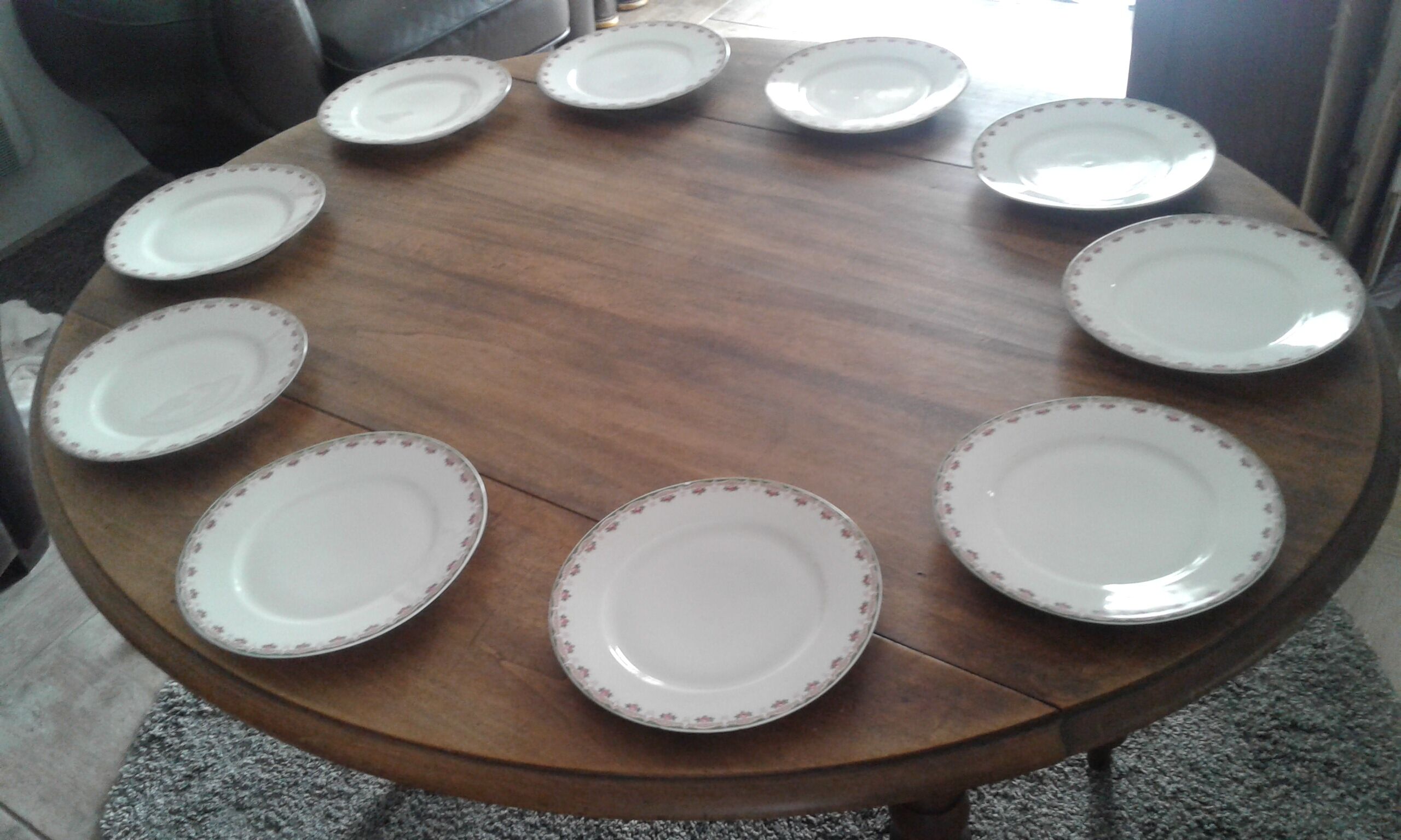10 Limoges porcelain flat plates