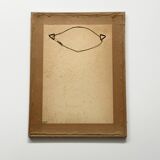 Pink botanical lithograph