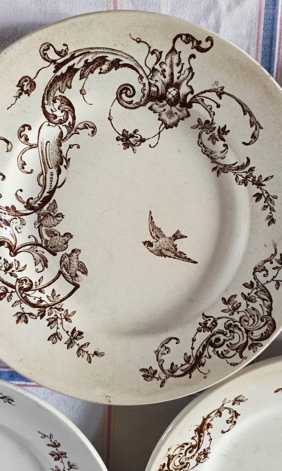 Brown bird flat plates