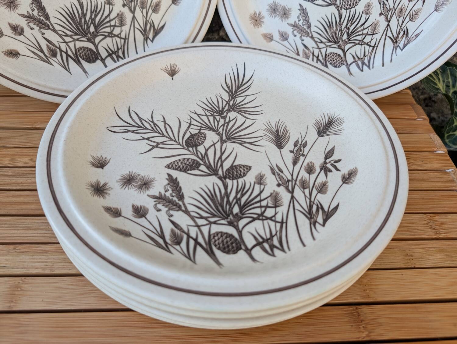 Assiettes Pinewood Grindley Angleterre années 70