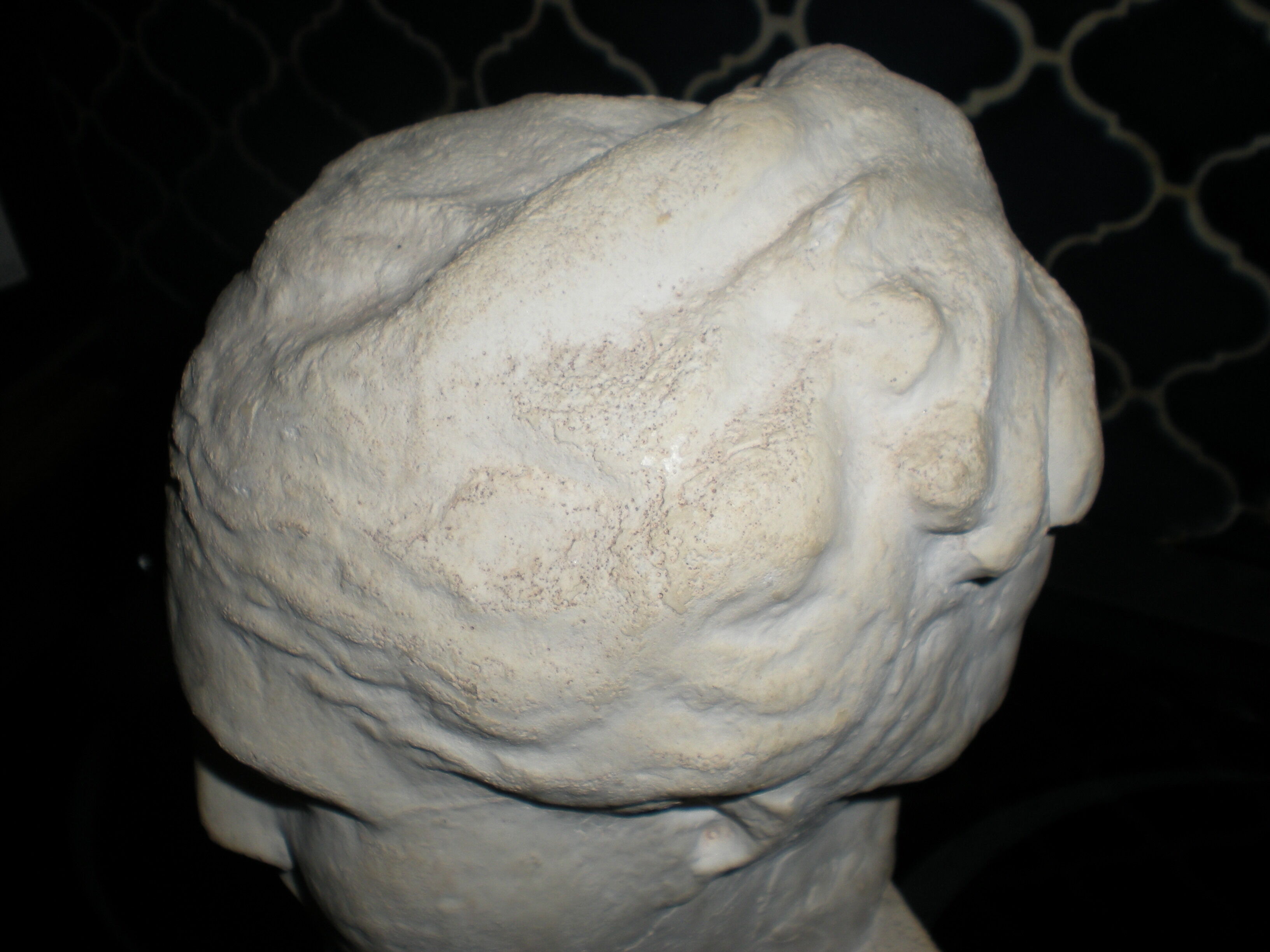 Bust beautiful stranger