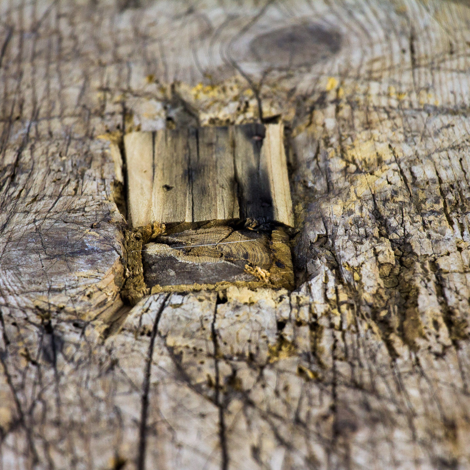 Antique pine butchers table