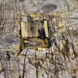 Antique pine butchers table