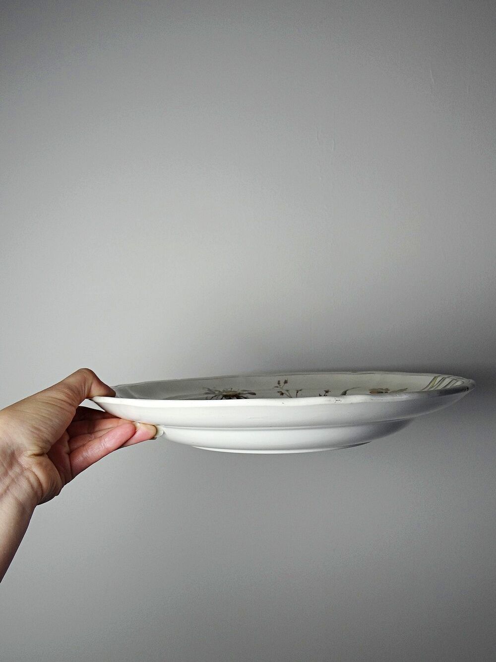 Antique Longchamp shallow dish with polychrome daisies in ironstone.
