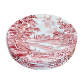 Set of 5 Luneville plates (English style)