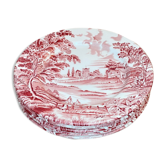 Set of 5 Luneville plates (English style)