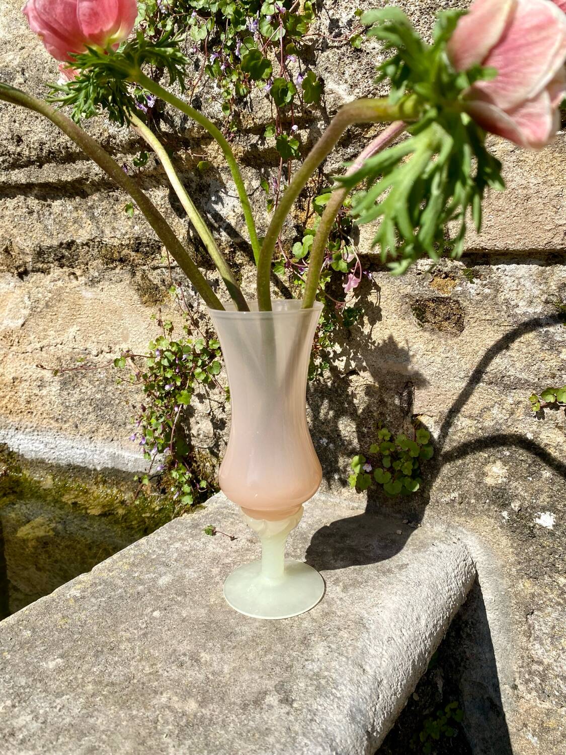 Powder pink vase