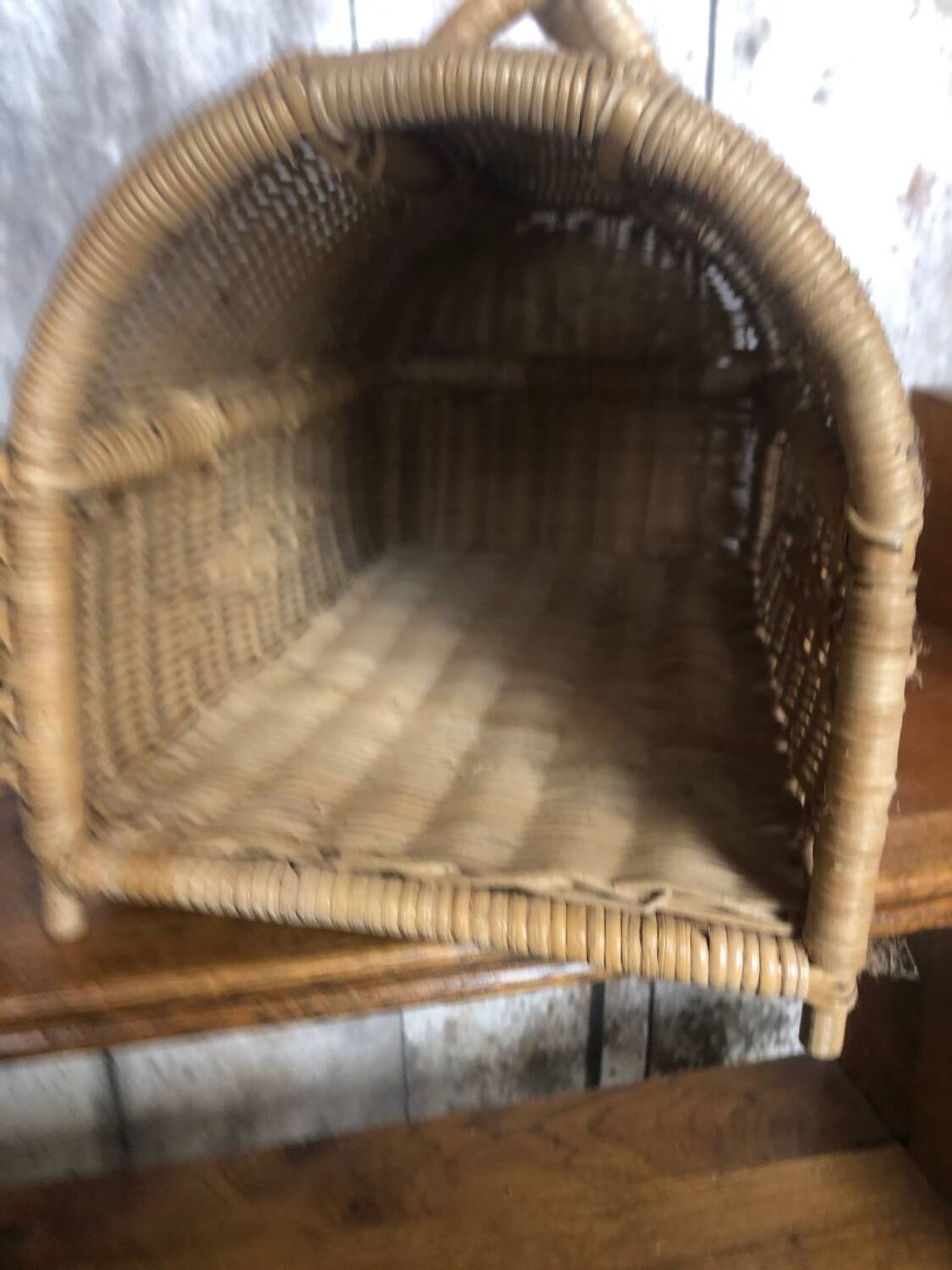 Old basket transport trunk rattan cage puppies kittens animals vintage