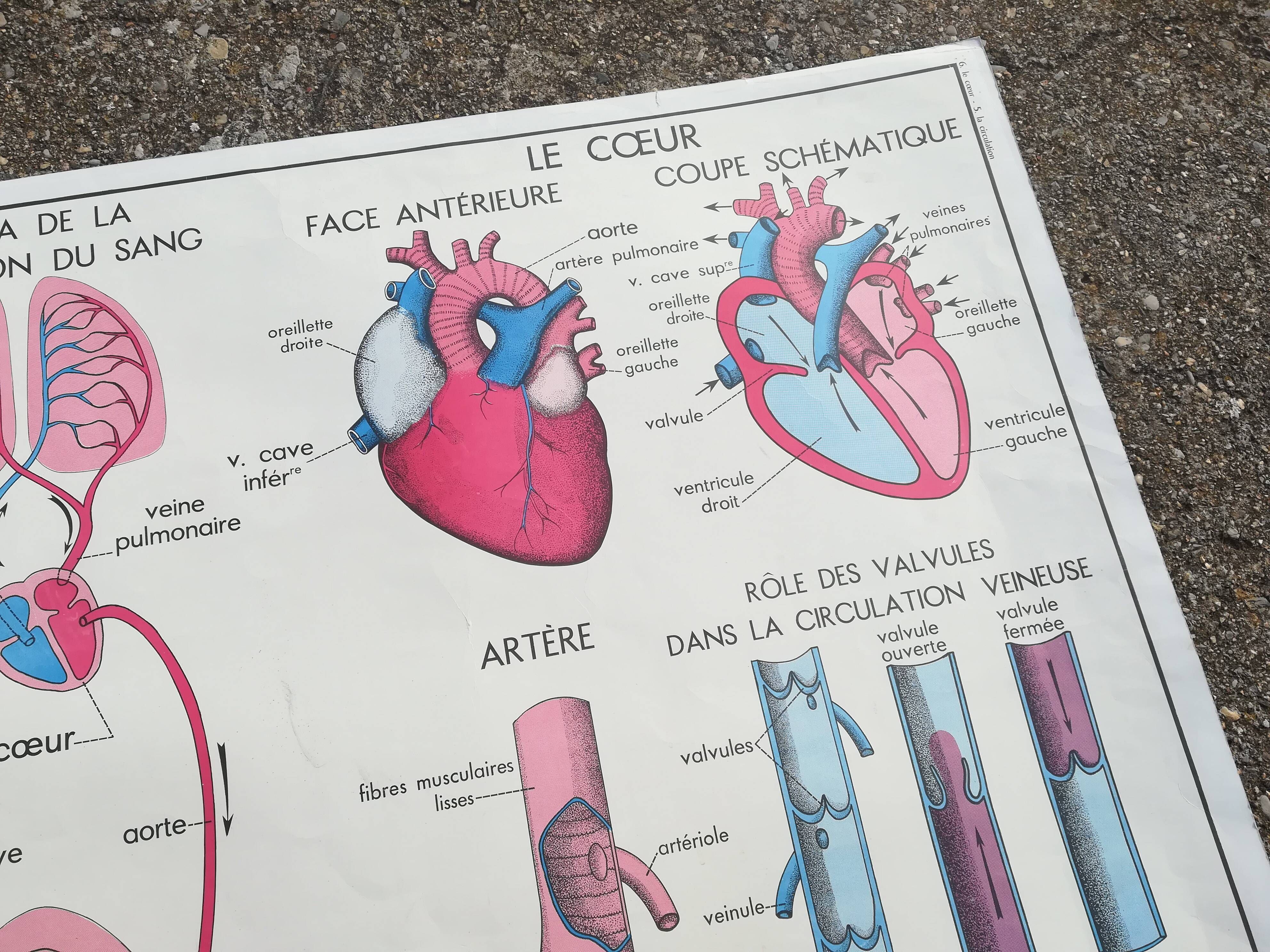 Rossignol school poster N°5 The heart N°6 Vintage traffic