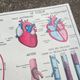 Rossignol school poster N°5 The heart N°6 Vintage traffic