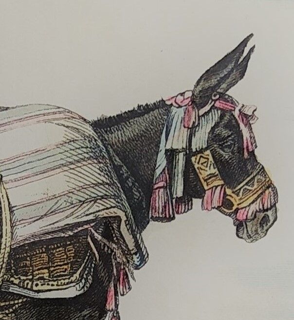 Original zoological illustration "mule" - Buffon 1840