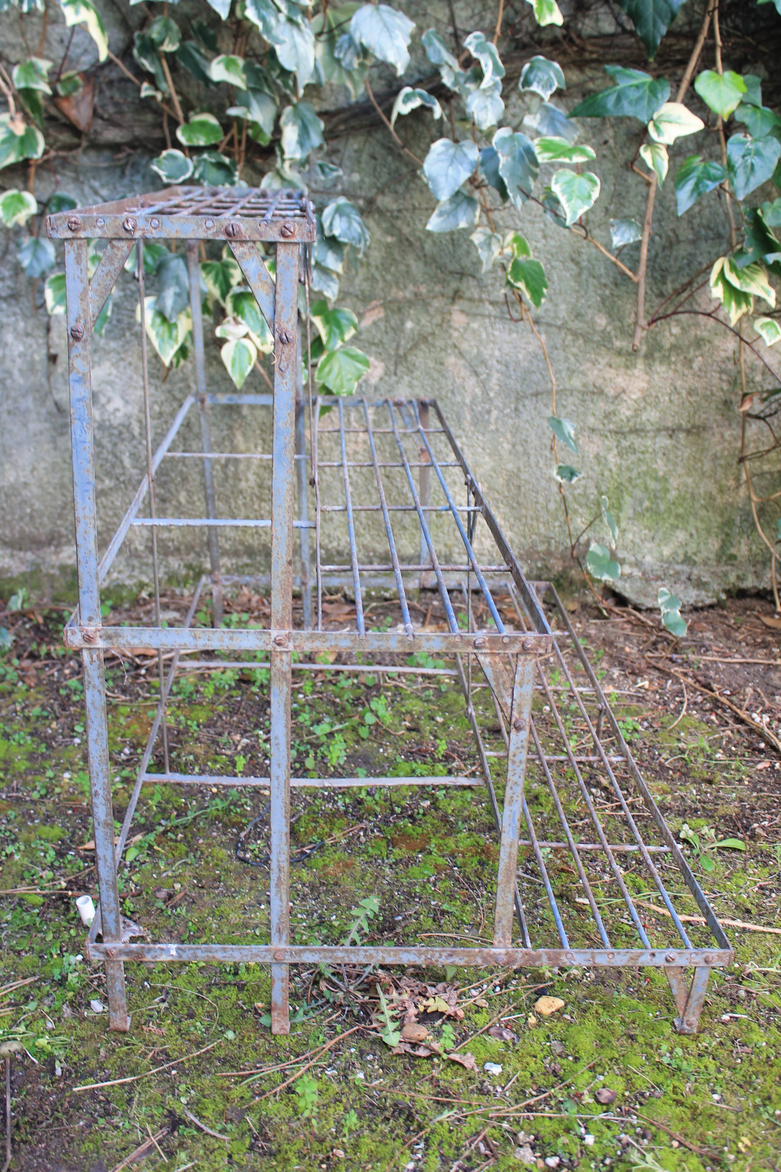 Florist in staircase jardniere