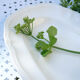 Dish Sarreguemines