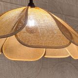 Cane suspension