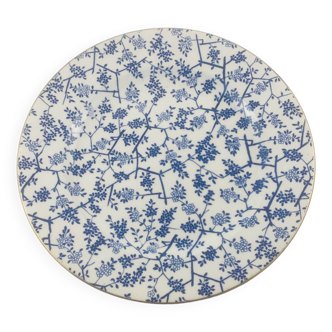 Assiettes Wedgwood