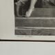 Antique print by Ribault, painted by Titian - drawn by Gianni