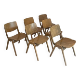 Thonet - Dining room chair set (6piece) - Stained Beech Plywood