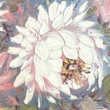 Oil on canvas, Bouquet of peonies, signed Robin