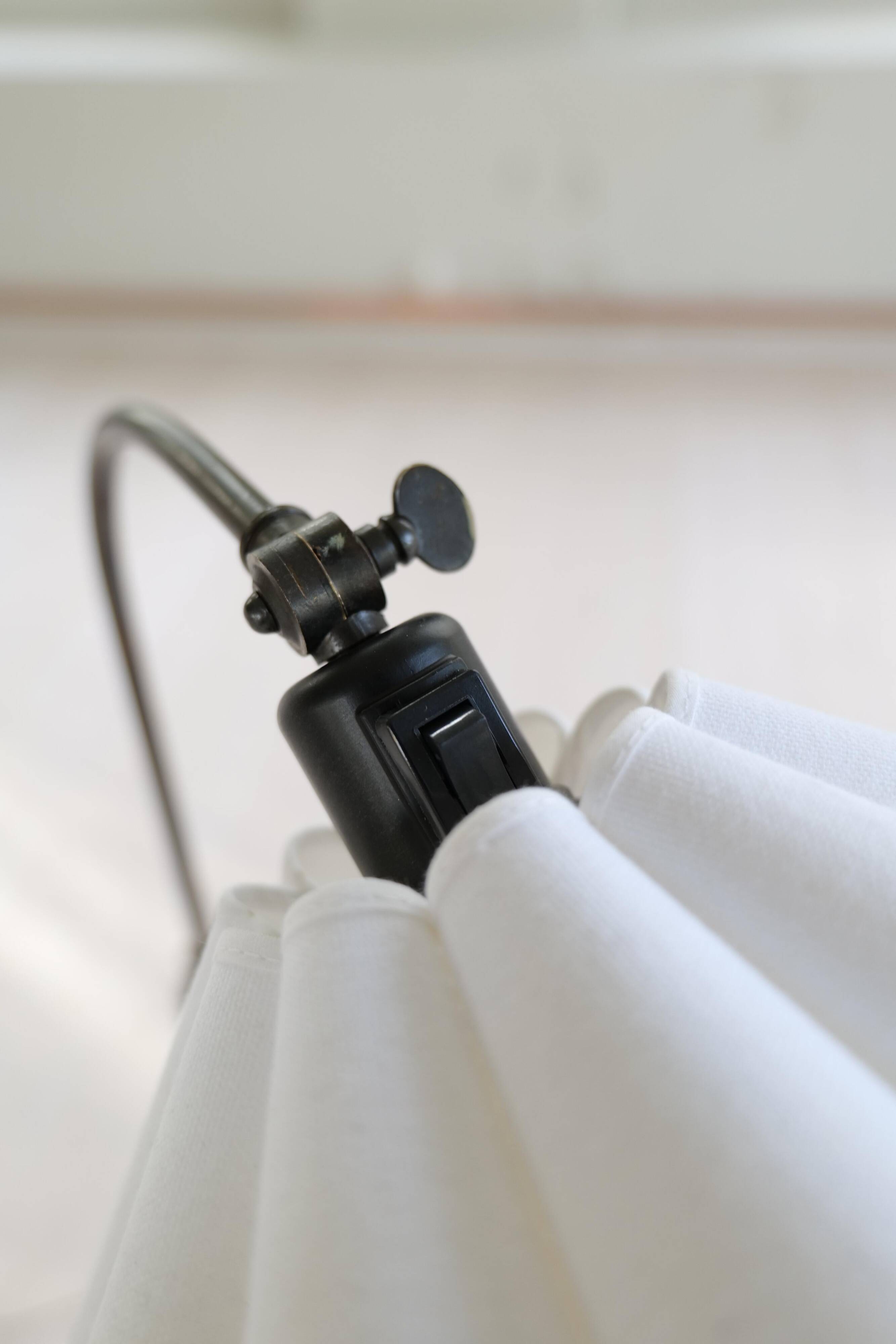 Organic Art Deco floor lamp in stained birch, Sweden, 1930s.