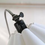 Organic Art Deco floor lamp in stained birch, Sweden, 1930s.