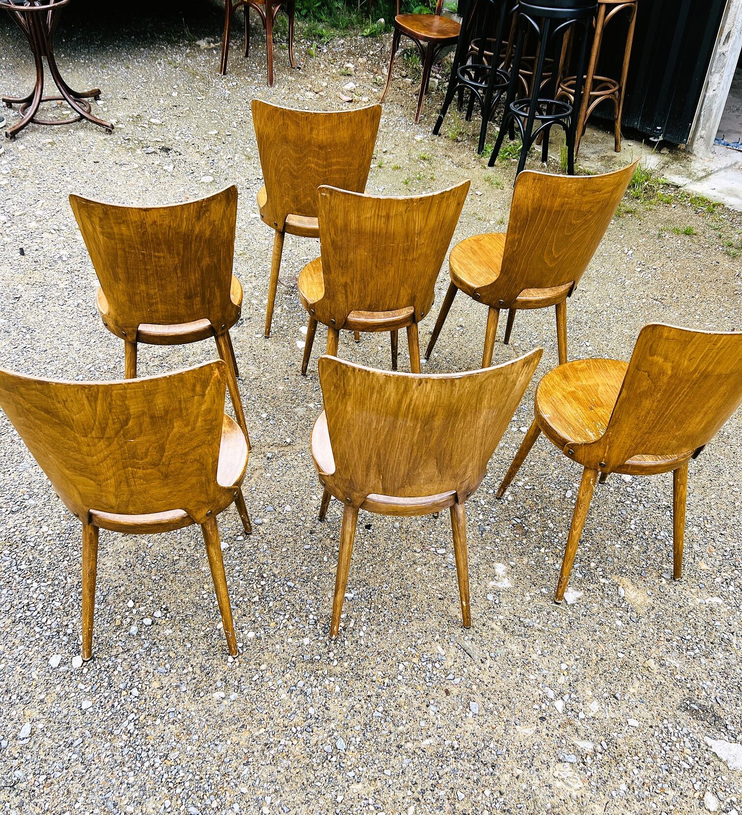 Set of 7 baumann bistro chairs model dove 50s
