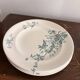 Lot 5 Plate Plates Faience Longwy Model Mignon