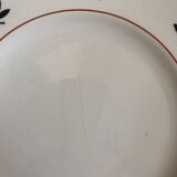 Salty plates of hellish earth