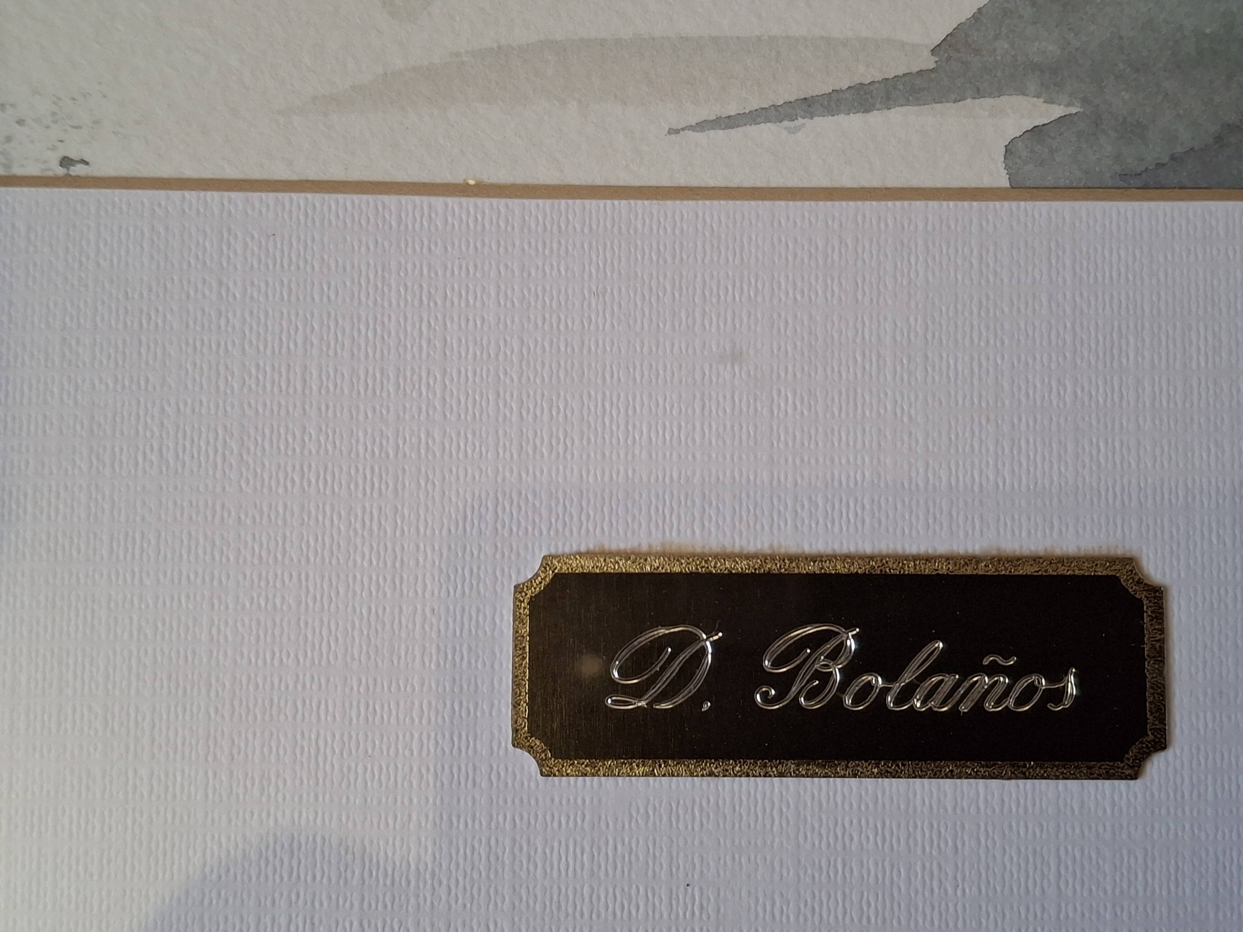 Original signed watercolor by Dolors Bolanos, framed.