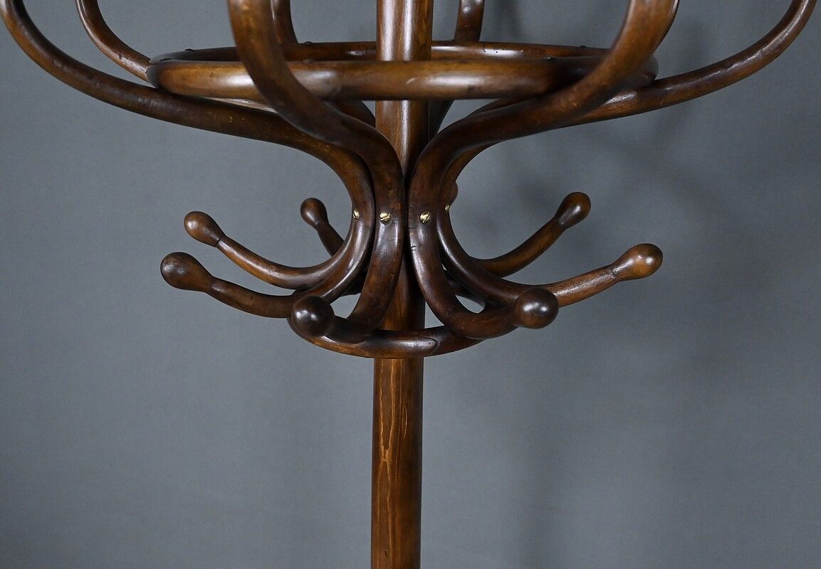 Beech coat rack parrot – early 20th century