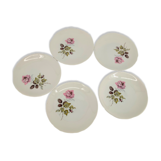 5 old dessert plates flowers earthenware badonviller luneville kg ceramic