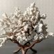 Corail blanc grand modèle 1960 sur bois sculpté