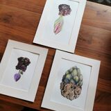 Minerals