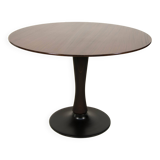 Mid-Century Pedestal Table by Dřevotvar Jablonné, 1960s, Restored