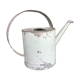 Zinc watering can