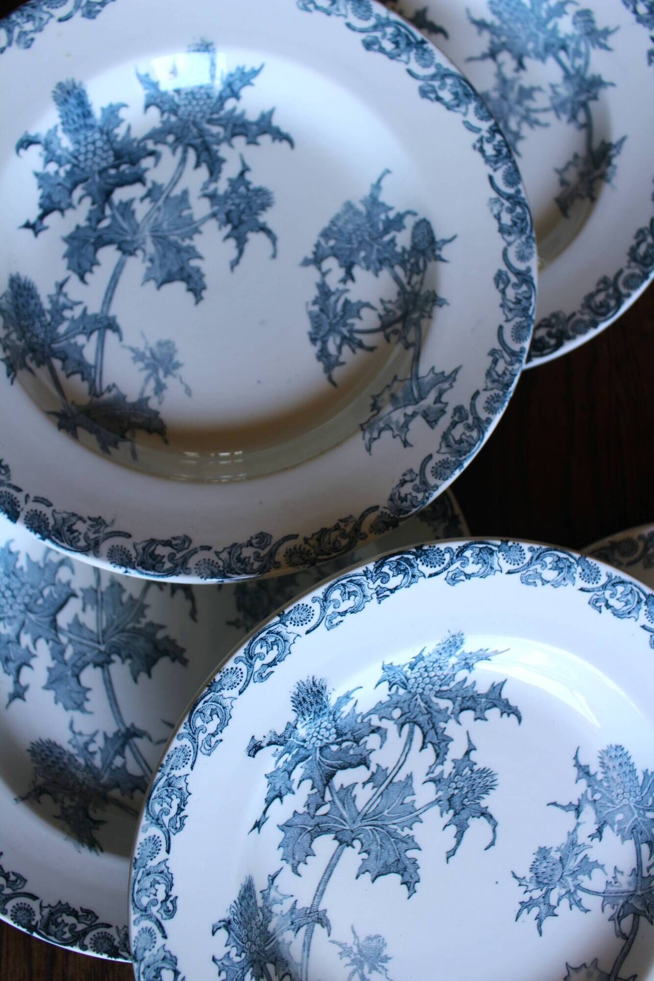 A set of 5 deep plates Chardon Bleu Terre de Fer Clairefontaine Righi