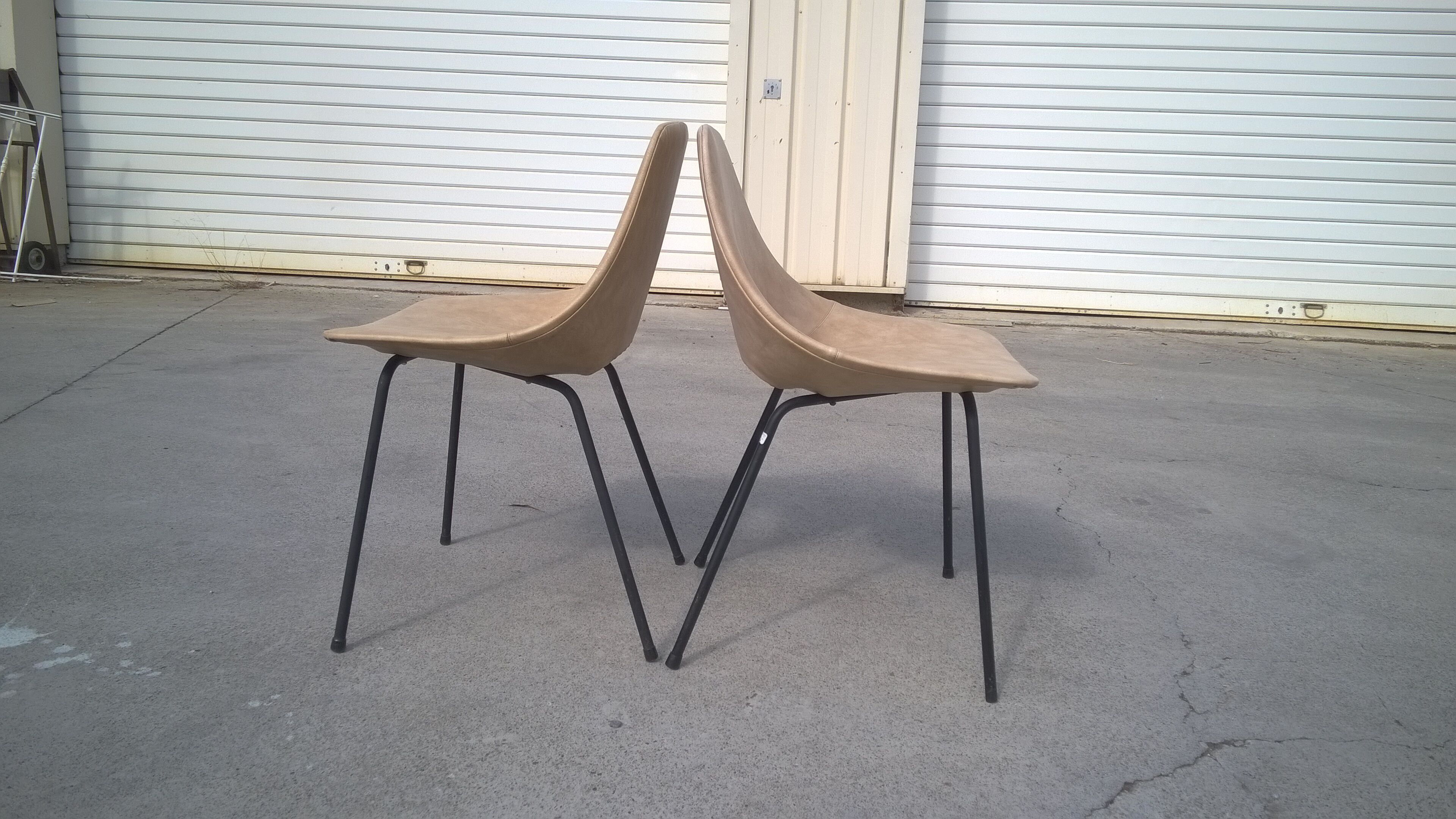 Pierre Guariche chairs