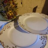 Duo de grands plats anciens Sarreguemines terre de fer
