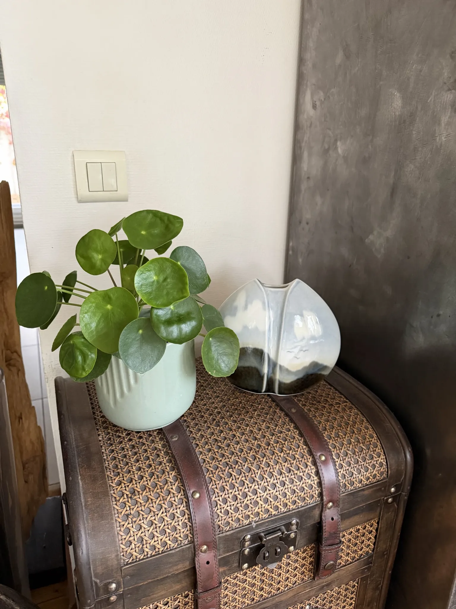 Vase poisson