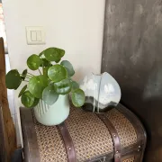 Vase poisson