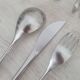 Service for 18 covers Guy Degrenne Cobra collection / Forks and spoons