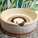 Ashtray/Tray Aldo Bitossi in Ceramic Italy