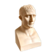Buste de Napoléon