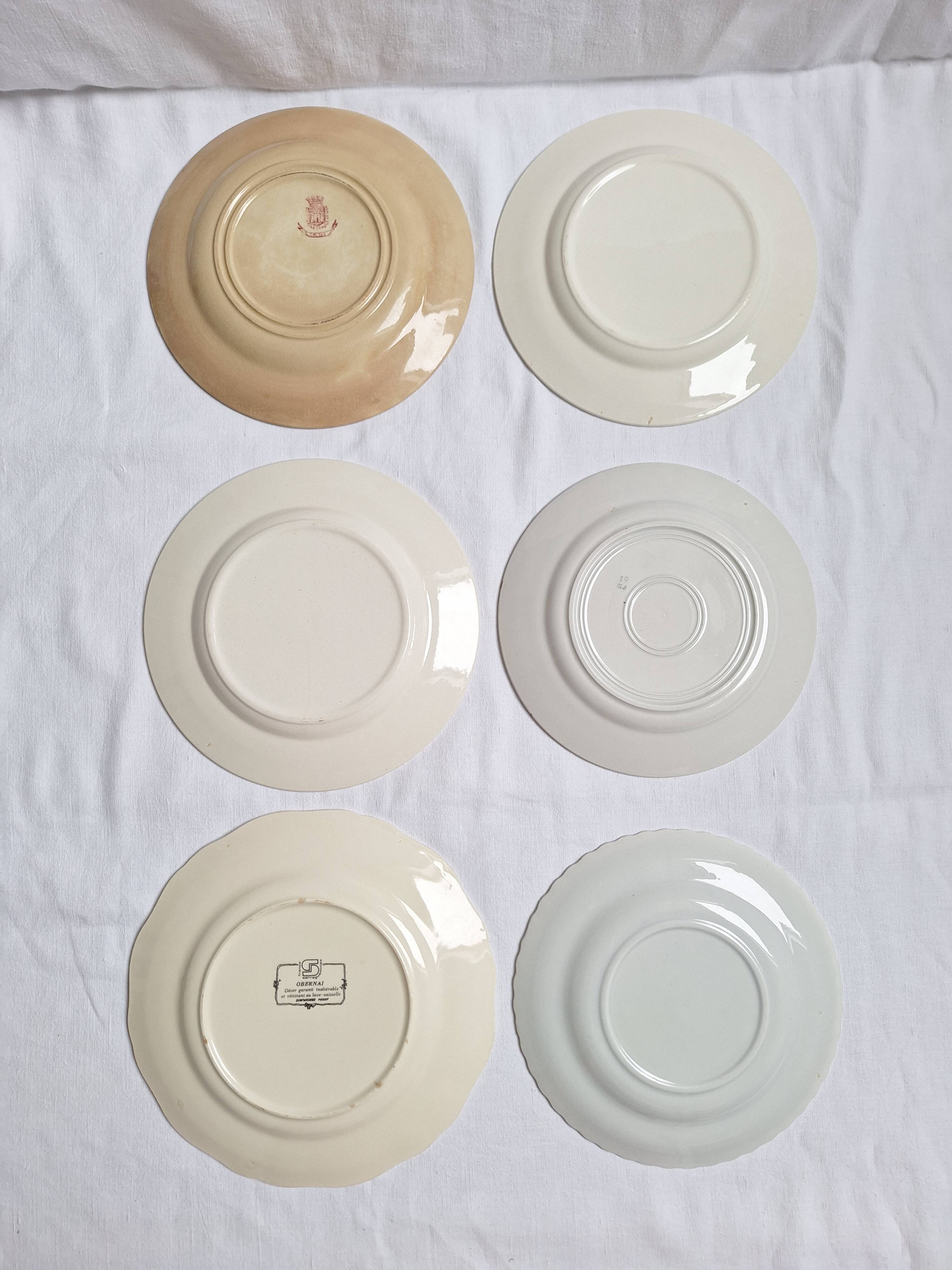 6 blue and pink dinner plates