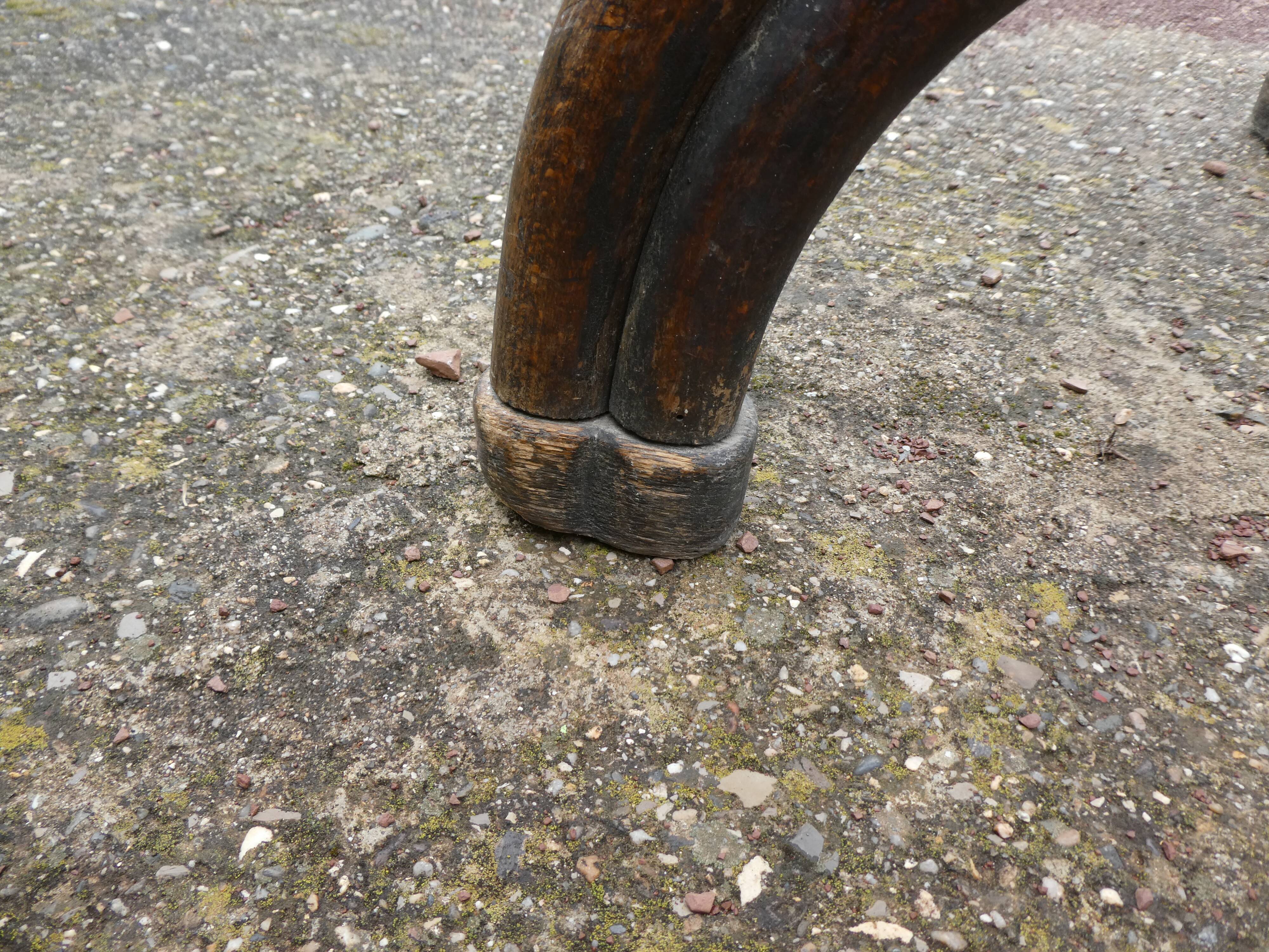 Parrot coat holder in curved wood - Art Nouveau