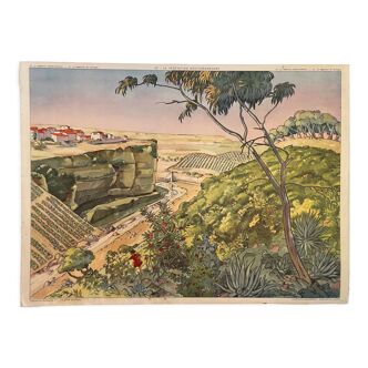 School poster Mediterranean Vegetation and Mountain Vegetation Montmorillon Rossignol