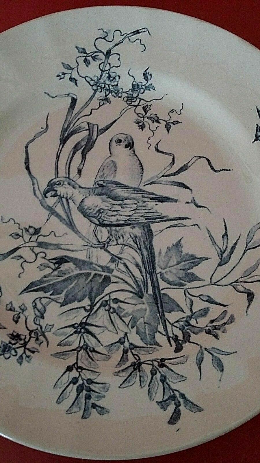 Plate Longchamp Earth model railway scenery parakeets Congo