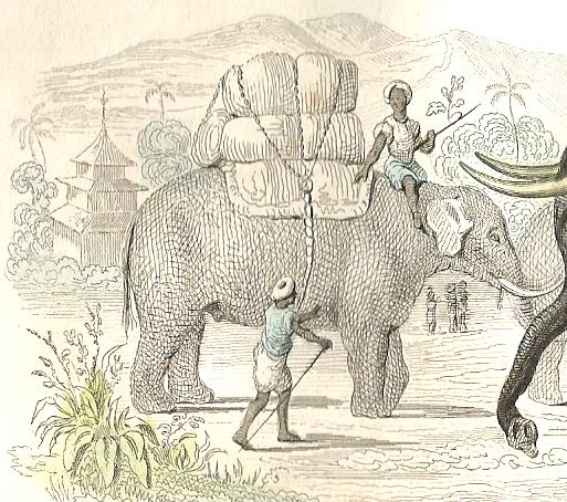 Original zoological plank "Elephant" Buffon 1848