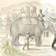 Planche zoologique originale "Eléphant" Buffon 1848
