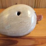 Mexico Duck